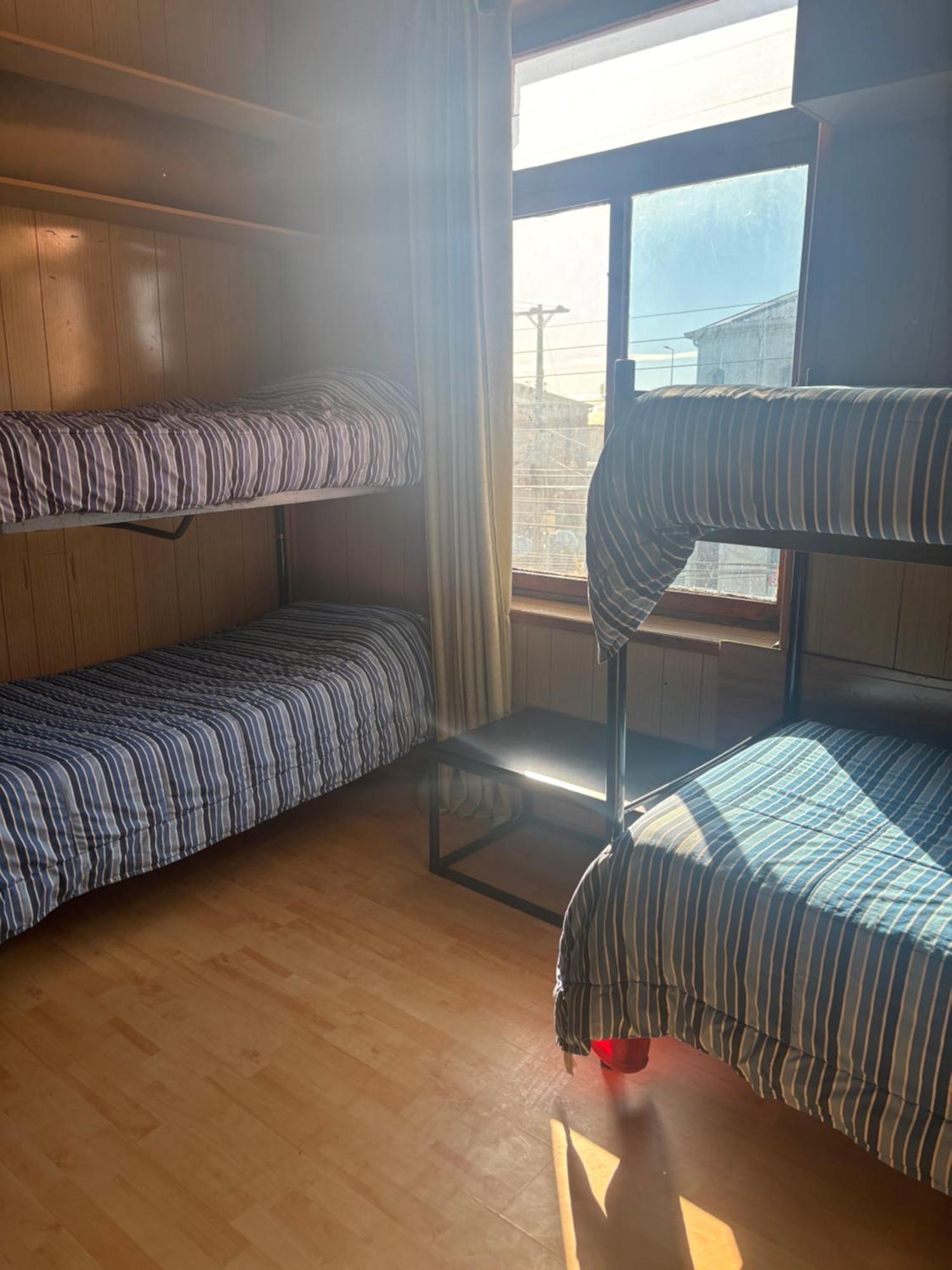 Hostel La Morenita Punta Arenas Eksteriør billede